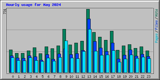 Hourly usage for May 2024