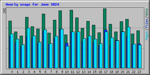 Hourly usage for June 2024